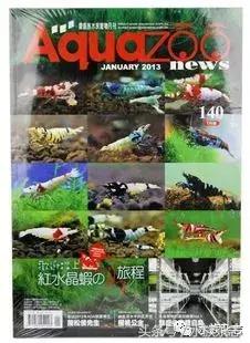 水晶虾是啥,水晶虾的习性和繁殖方法详解