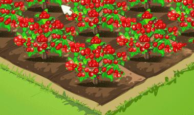 上海最省钱旅游攻略,旅游省钱从上海出发