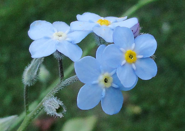 和同事误会了怎么办,跟同事有误会需要化解吗