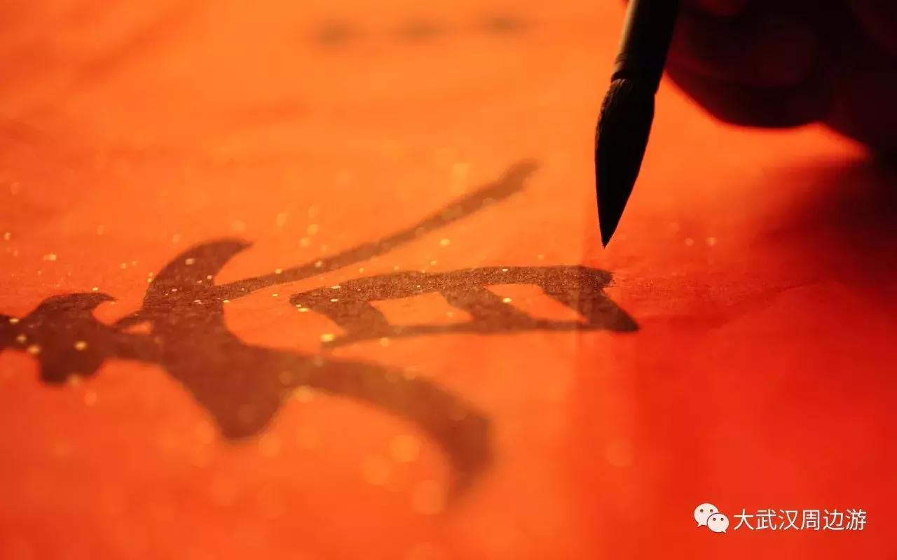 这种花！全国仅有，而且只在春节绽放，比烟花好看100倍！