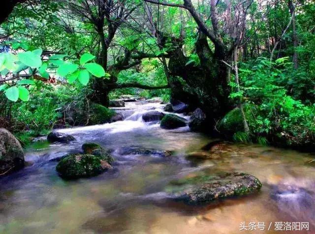 洛阳即将腾飞的县,2022年洛阳最发达的五个县