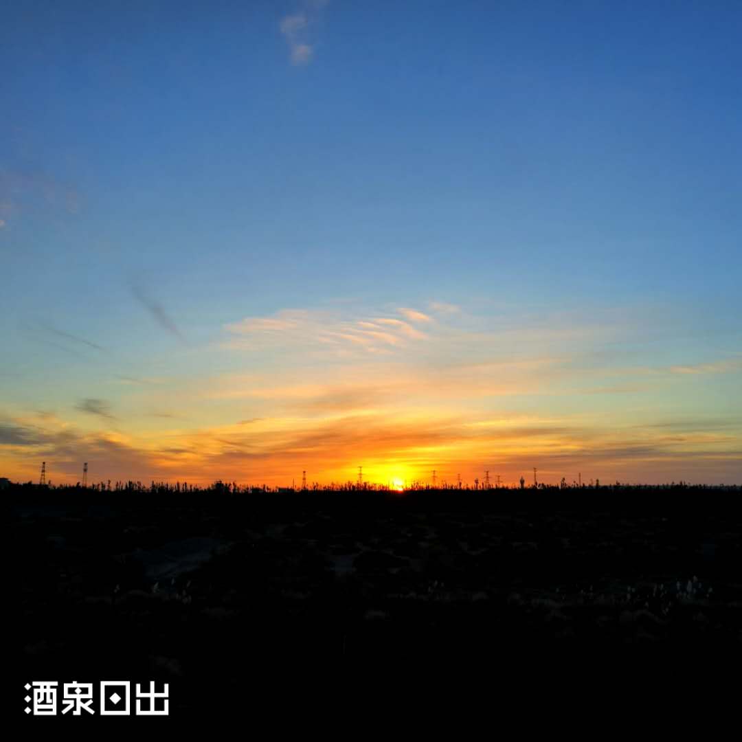 西北胡杨林旅游攻略,大西北环线胡杨林十日游