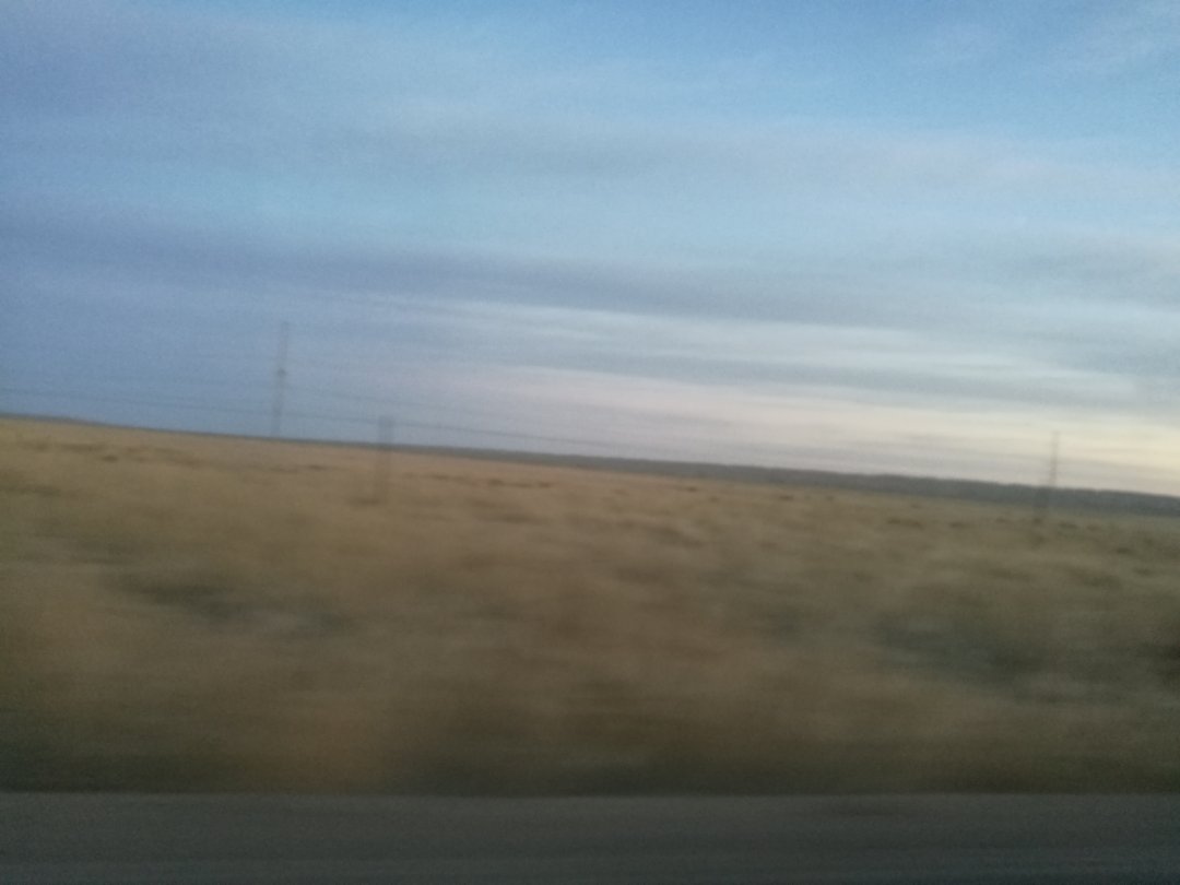 西北胡杨林旅游攻略,大西北环线胡杨林十日游