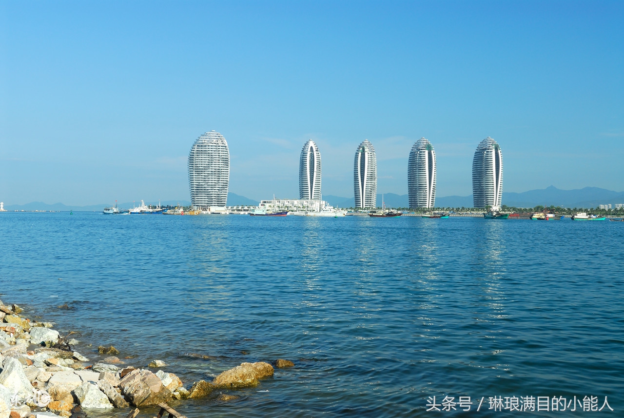 候鸟过冬需要注意什么,今年冬天去海南旅游有什么讲究