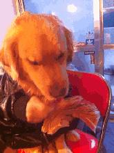 张家港平均工资多少,张家港平均工资2019