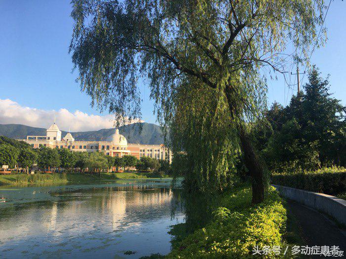 polo真实油耗,polo的油耗实测