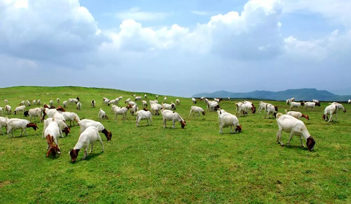 错过了这30个地方，你就相当于辜负了整个贵州！