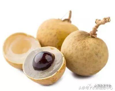 西瓜为什么是北瓜,为什么西瓜叫西瓜不叫绿瓜