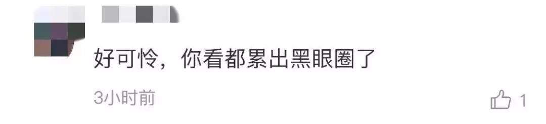 我国国宝大熊猫被外国租借有多难,日本大熊猫悲惨生活