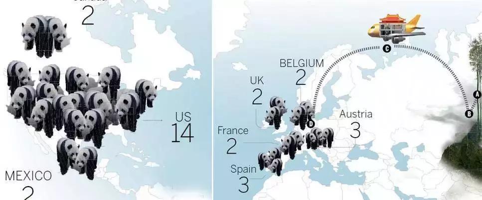 我国国宝大熊猫被外国租借有多难,日本大熊猫悲惨生活