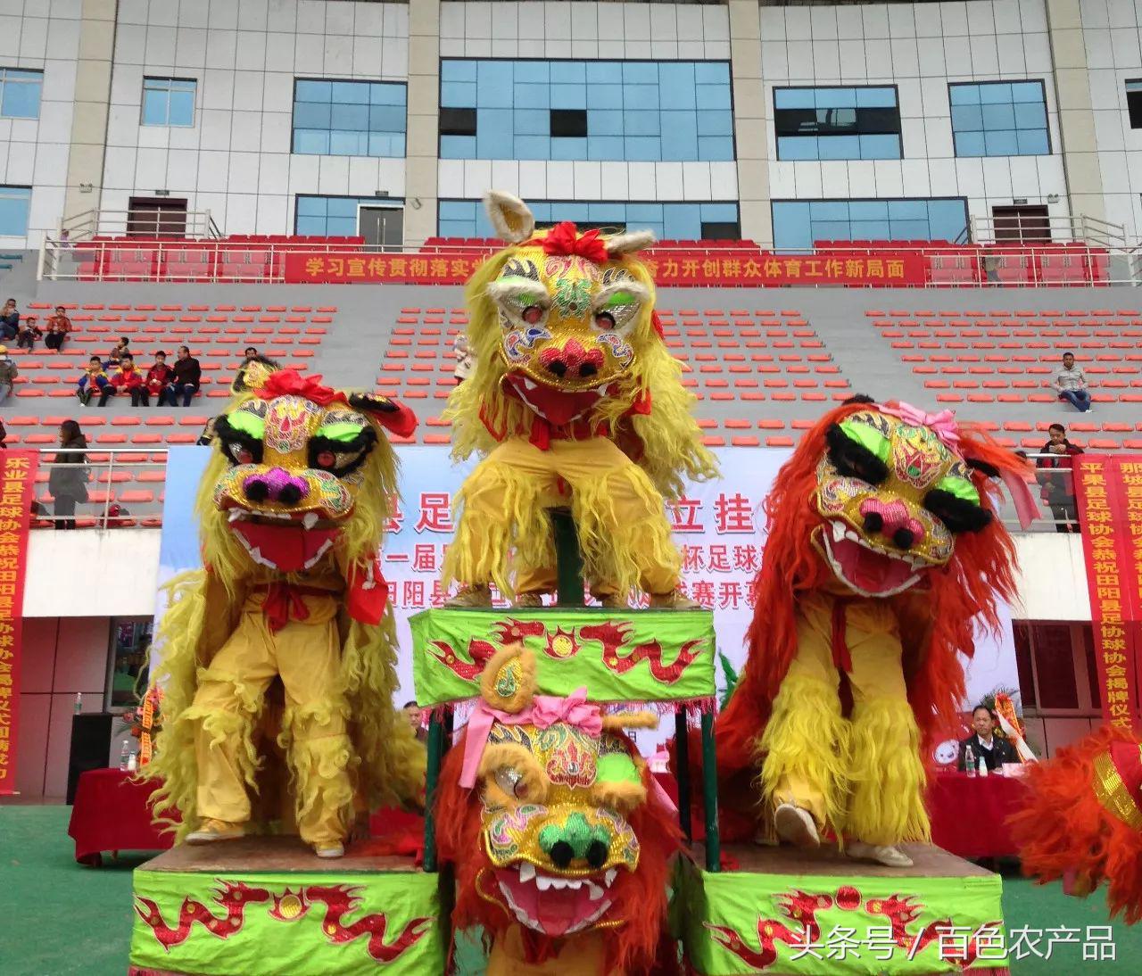 田阳足球队,田阳足球