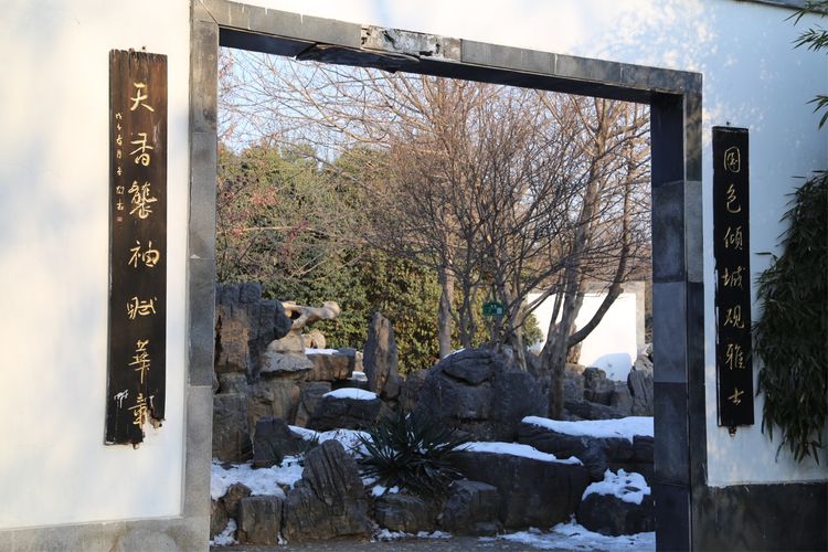 周一漫步隋唐植物园赏桃花,洛阳隋唐植物园春光