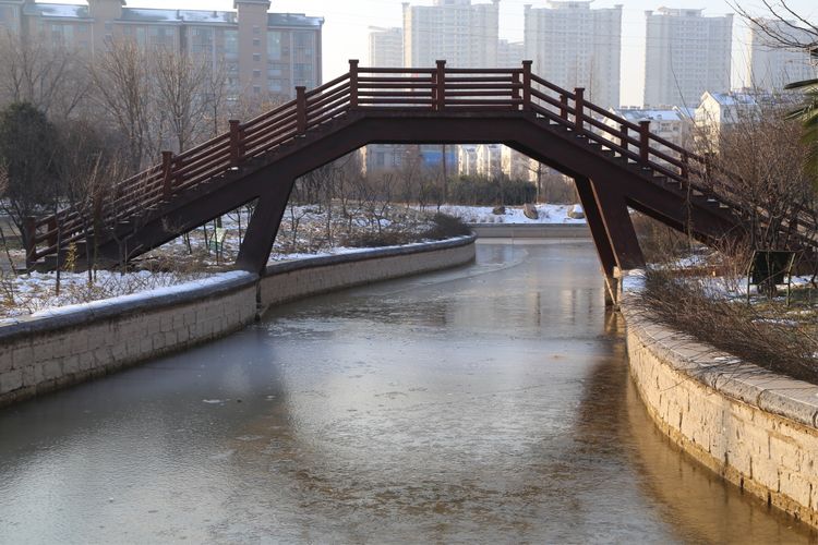 周一漫步隋唐植物园赏桃花,洛阳隋唐植物园春光