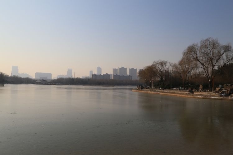 周一漫步隋唐植物园赏桃花,洛阳隋唐植物园春光