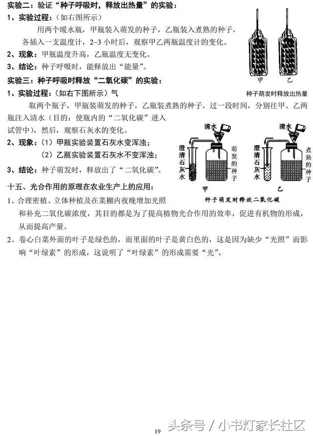 中考生物知识点总复习,中考生物复习要点最新版