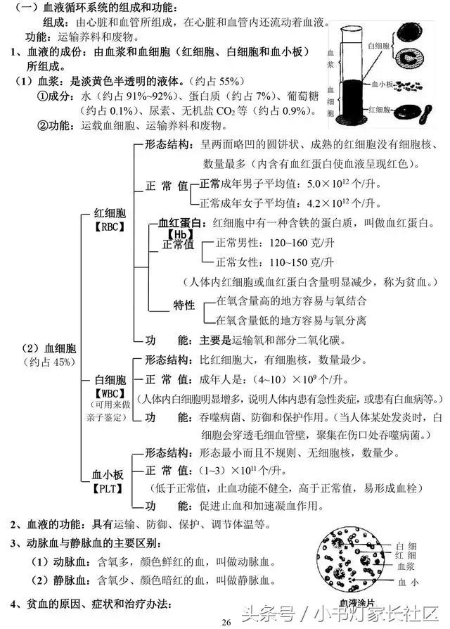 中考生物知识点总复习,中考生物复习要点最新版