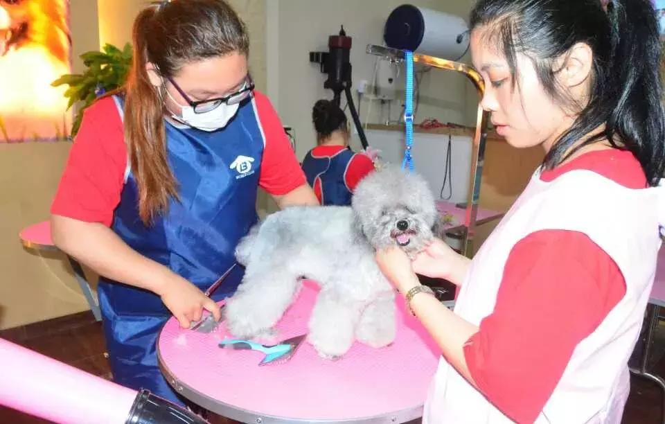 老徐会客厅：于祥：志存高远未来可期扬州企业家公益联盟发起人