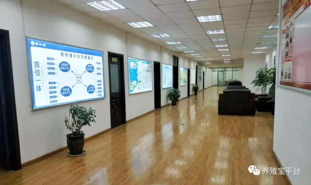 旭牧通2020年,旭牧通全部产品讲解