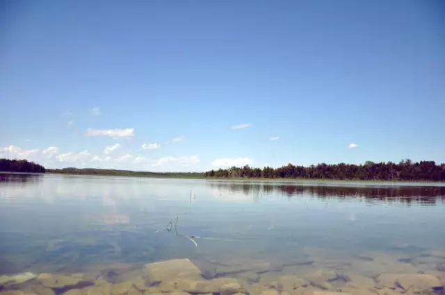 赴美带薪实习怎么申请,赴美实习有必要去吗