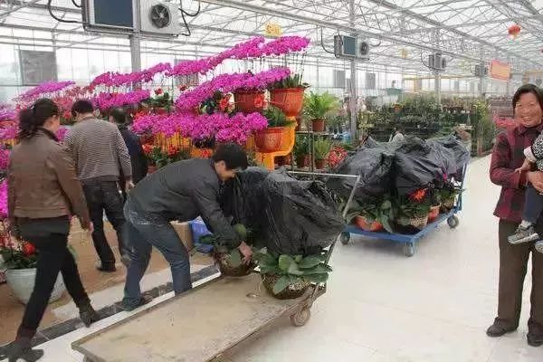 再上22天班，郑州人集体放假！做完这16件事，就过年啦！