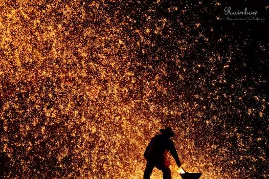 这种花！全国仅有，而且只在春节绽放，比烟花好看100倍！