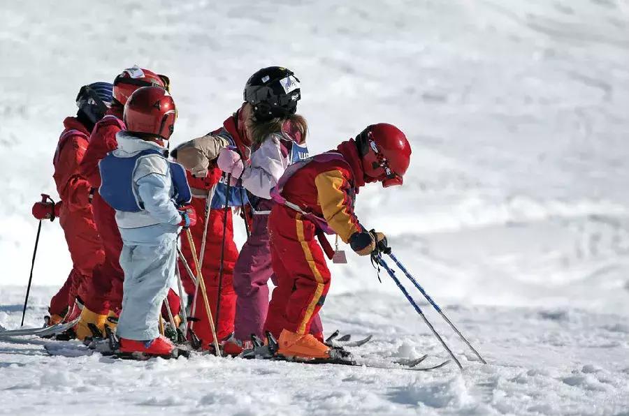 这种花！全国仅有，而且只在春节绽放，比烟花好看100倍！