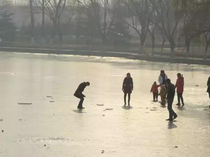 这种花！全国仅有，而且只在春节绽放，比烟花好看100倍！