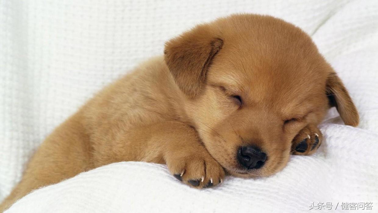 父母有过敏性鼻炎的几率大,父母都有过敏性鼻炎会遗传吗