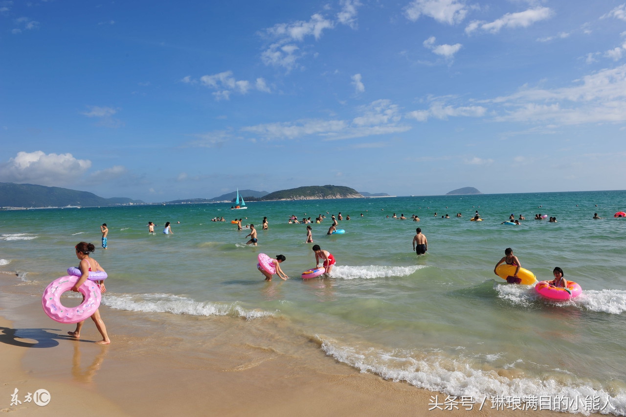 候鸟过冬需要注意什么,今年冬天去海南旅游有什么讲究