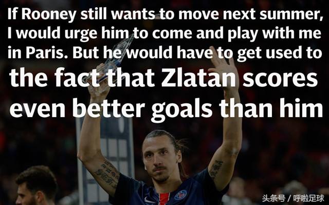 伊布语录经典,伊布说的经典名言