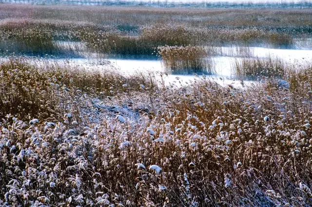 春节自驾山西旅游4-5天详细攻略,2019春节上海出发自驾旅游去哪里