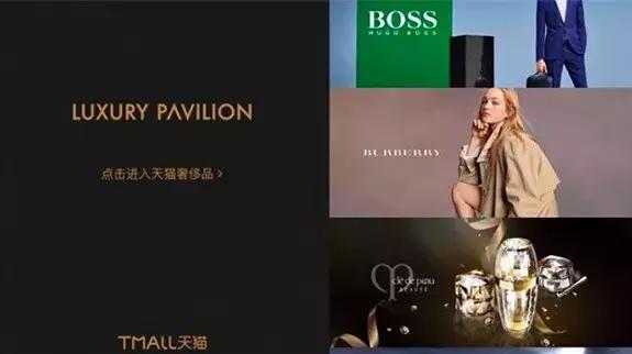 stella mccartney官网旗舰店 (stella mccartney adidas)