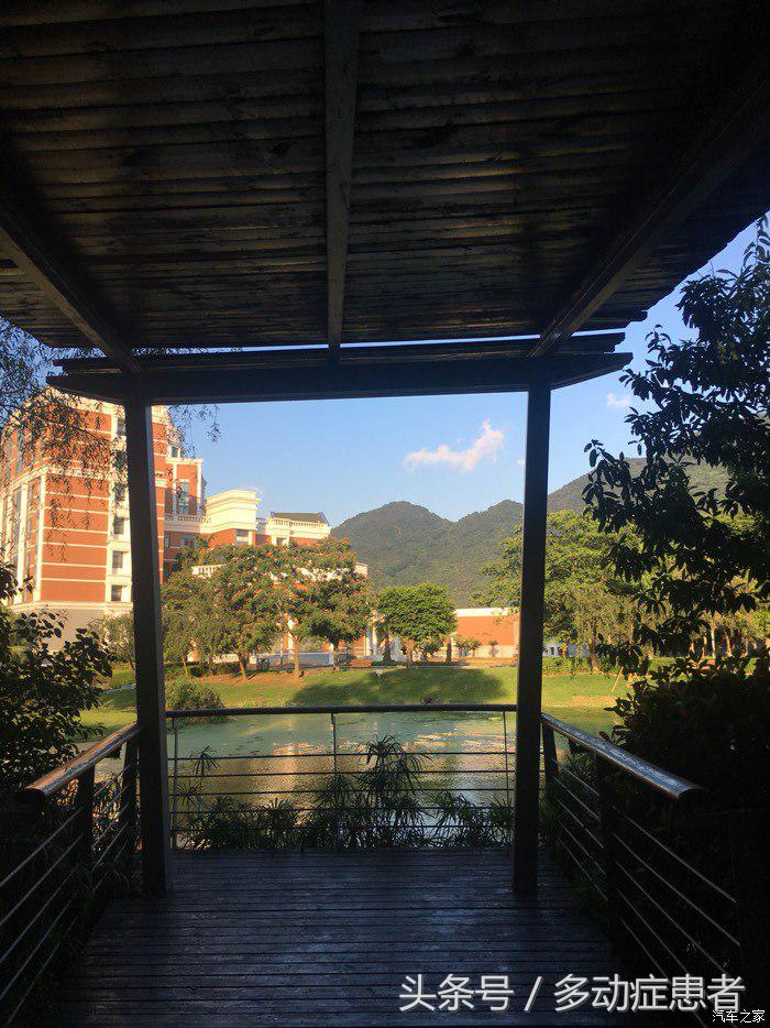 polo真实油耗,polo的油耗实测