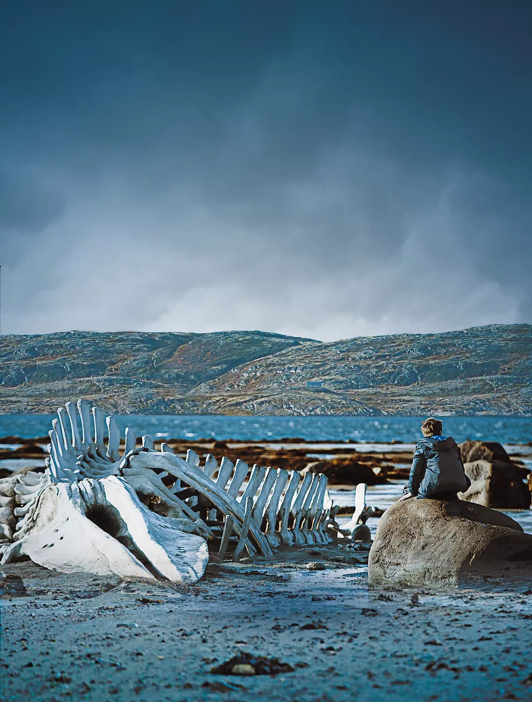 电影好片,十部你绝对没看过的电影