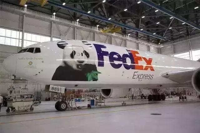 我国国宝大熊猫被外国租借有多难,日本大熊猫悲惨生活