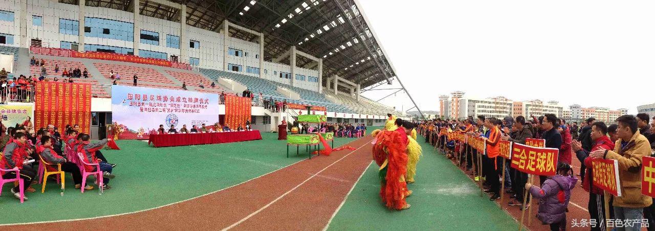 田阳足球队,田阳足球