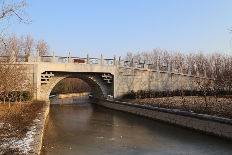 周一漫步隋唐植物园赏桃花,洛阳隋唐植物园春光
