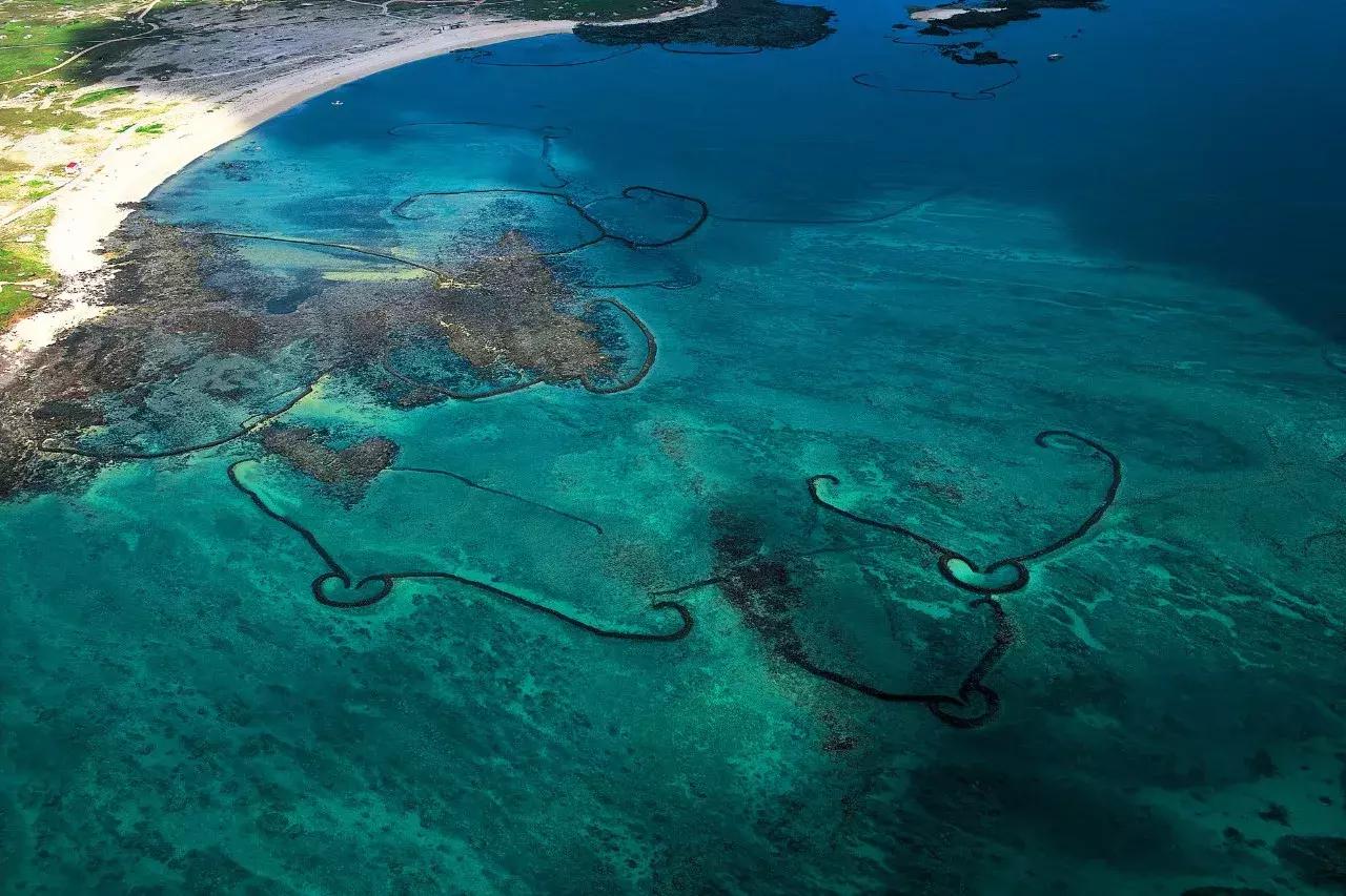 一个恐高的人，高空作业20多年，舍命拍出了最美纪录片