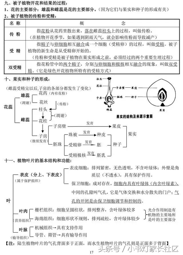 中考生物知识点总复习,中考生物复习要点最新版