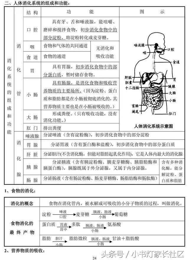 中考生物知识点总复习,中考生物复习要点最新版