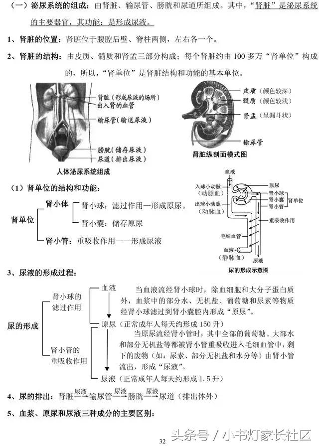 中考生物知识点总复习,中考生物复习要点最新版