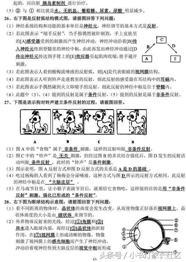 中考生物知识点总复习,中考生物复习要点最新版