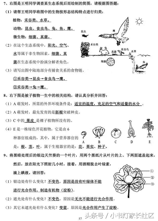 中考生物知识点总复习,中考生物复习要点最新版