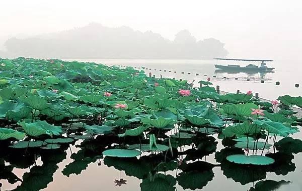 去过湖北的人,去过34个省的感受