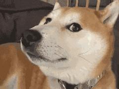 阿玛尼520限定礼盒ysl,阿玛尼ysl新品