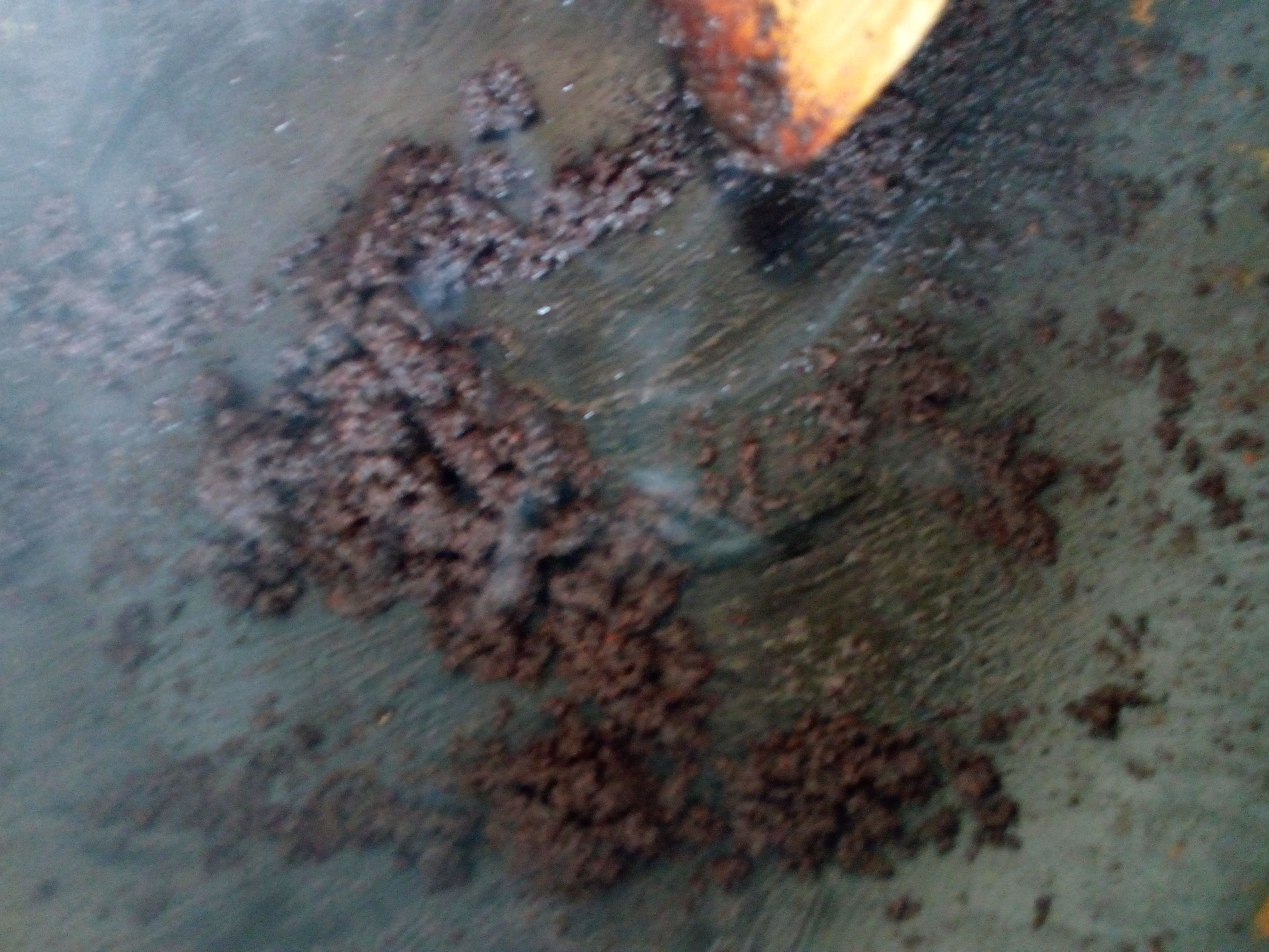 家有宝贝必备自制鸡蛋油