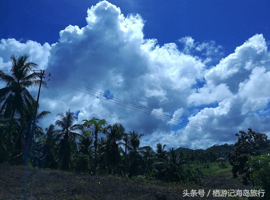 前任3林佳最后一个人出去旅游,前任3林佳走的片段