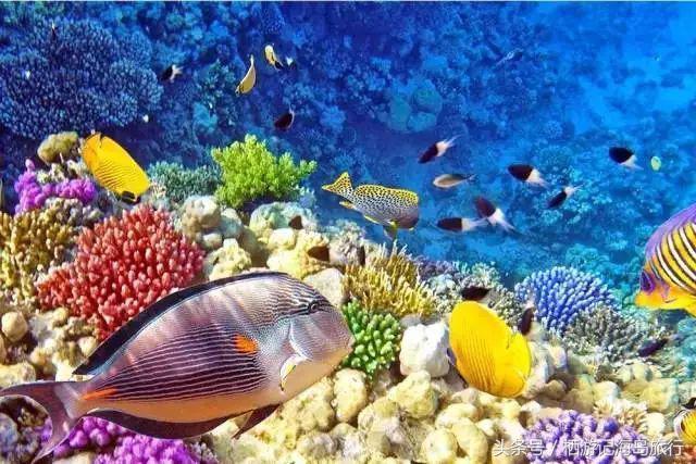 前任3林佳最后一个人出去旅游,前任3林佳走的片段