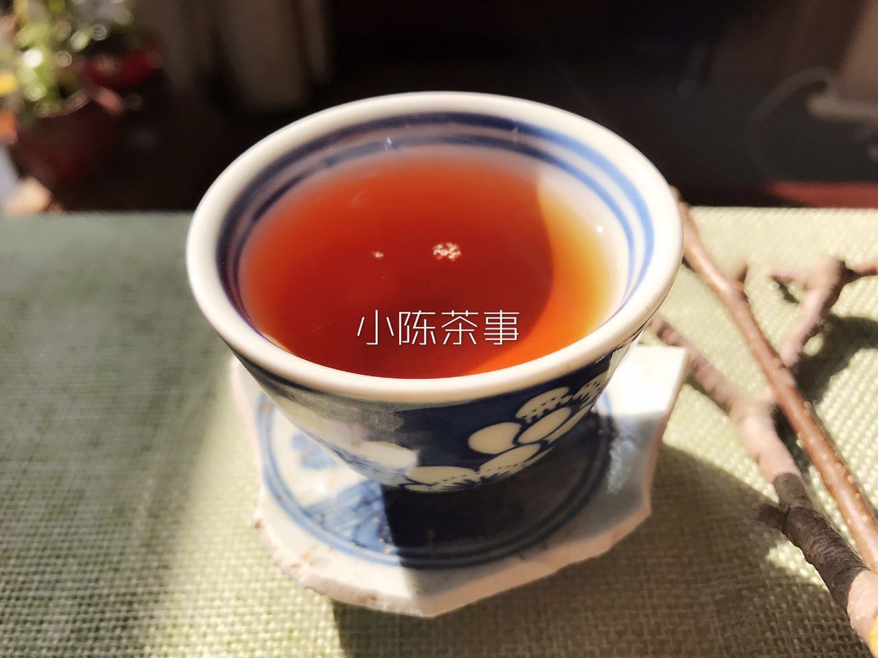 白茶怎么选白茶代表品种有哪些,普洱白茶叶底绿色和褐色哪种好