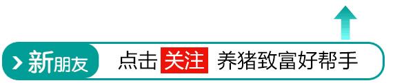「1月17日全国生猪价格行情」下跌继续,但整体趋稳